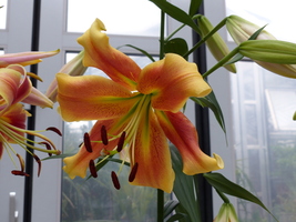 Foto: Dr. Peter Müller